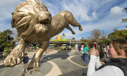 san diego zoo tour